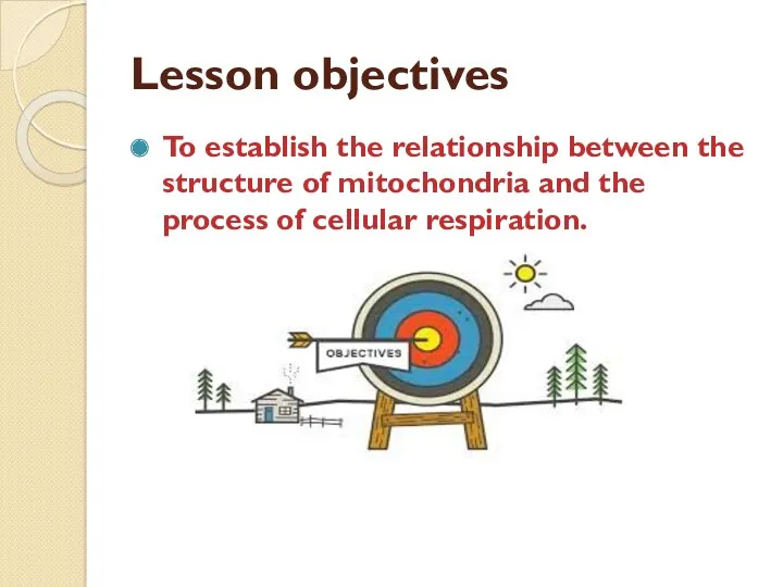 Lesson objectives To establish the relationship between the structure of