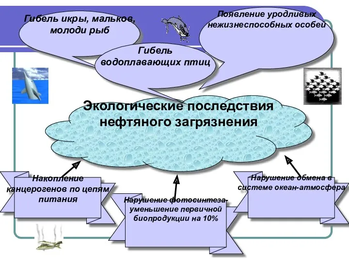 Гибель икры, мальков, молоди рыб Экологические последствия нефтяного загрязнения Появление