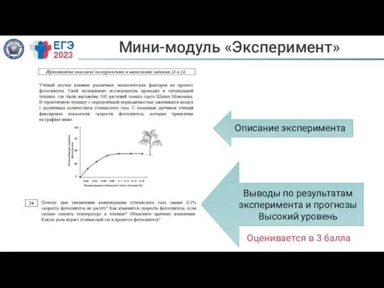 Мини-модуль «Эксперимент» Описание эксперимента Выводы по результатам эксперимента и прогнозы Высокий уровень Оценивается в 3 балла