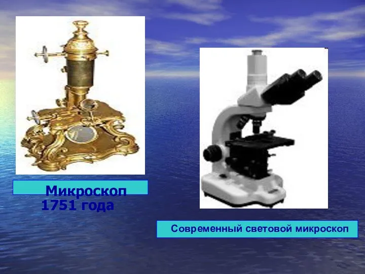 Микроскоп 1751 года Современный световой микроскоп