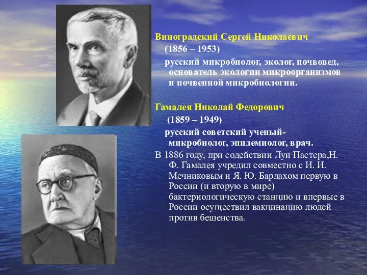 Виноградский Сергей Николаевич (1856 – 1953) русский микробиолог, эколог, почвовед,