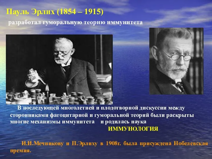 Пауль Эрлих (1854 – 1915) разработал гуморальную теорию иммунитета В