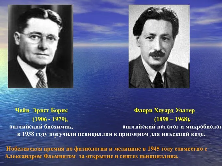 . Чейн Эрнст Борис Флори Хоуард Уолтер (1906 - 1979),