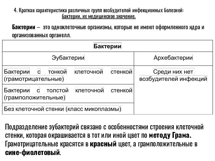 4. Краткая характеристика различных групп возбудителей инфекционных болезней: бактерии, их