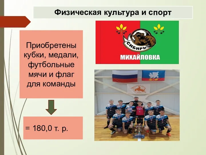 Приобретены кубки, медали, футбольные мячи и флаг для команды = 180,0 т. р.