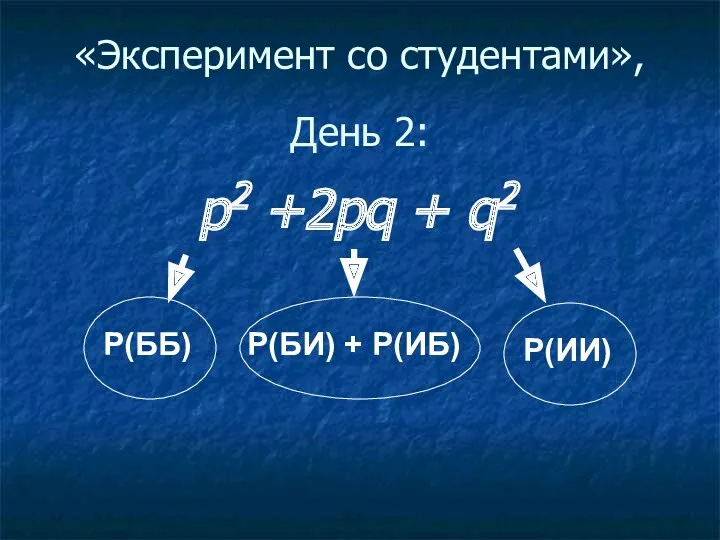 «Эксперимент со студентами», День 2: р2 +2pq + q2 Р(ББ) Р(БИ) + Р(ИБ) Р(ИИ)