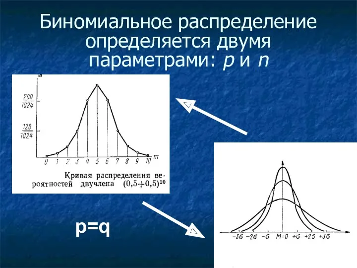 Биномиальное распределение определяется двумя параметрами: p и n p=q
