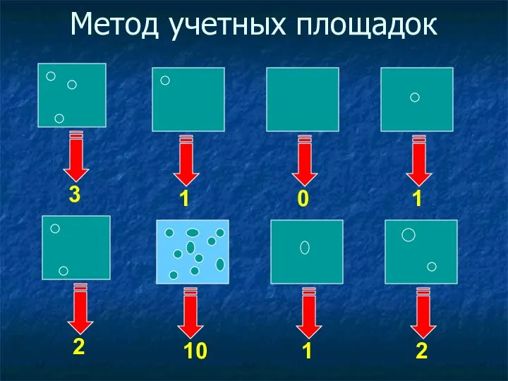 Метод учетных площадок 3 1 0 1 2 10 1 2