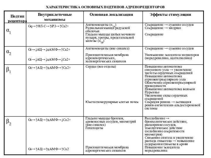 ХАРАКТЕРИСТИКА ОСНОВНЫХ ПОДТИПОВ АДРЕНОРЕЦЕПТОРОВ Подтип рецептора