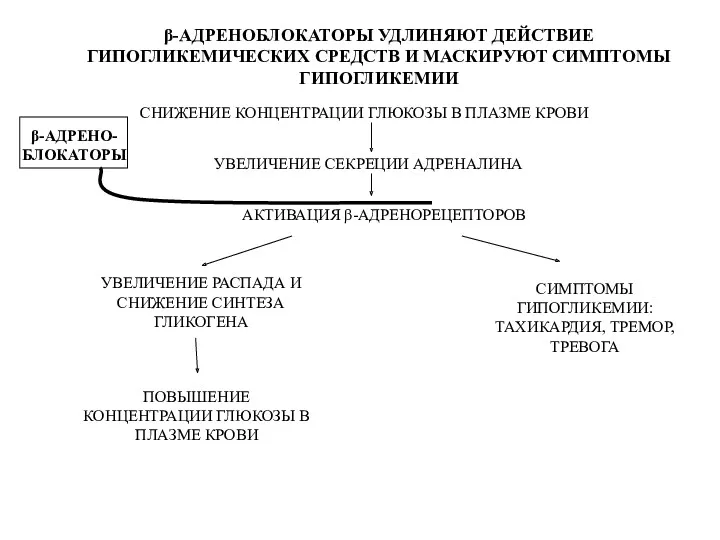 β-АДРЕНОБЛОКАТОРЫ УДЛИНЯЮТ ДЕЙСТВИЕ ГИПОГЛИКЕМИЧЕСКИХ СРЕДСТВ И МАСКИРУЮТ СИМПТОМЫ ГИПОГЛИКЕМИИ СНИЖЕНИЕ