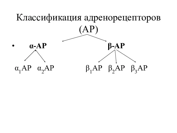 Классификация адренорецепторов (АР) α-АР β-АР α1АР α2АР β1АР β2АР β3АР