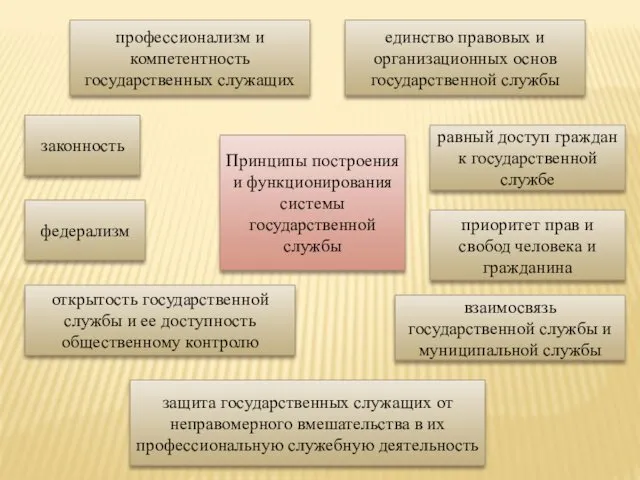 Принципы построения и функционирования системы государственной службы профессионализм и компетентность