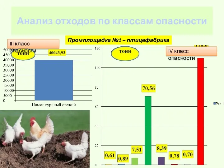 Анализ отходов по классам опасности Промплощадка №1 – птицефабрика III класс опасности IV класс опасности