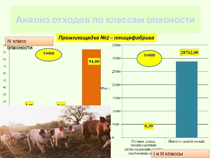 Анализ отходов по классам опасности Промплощадка №2 – птицефабрика I