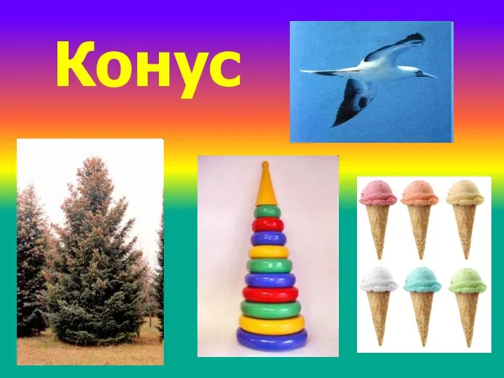 Конус