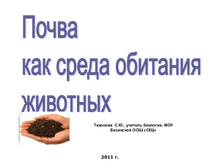 Тихонова С.Ю., учитель биологии, МОУ Базинской ООШ «СКЦ» Почва как среда обитания животных 2011 г.