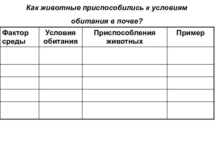 Как животные приспособились к условиям обитания в почве?