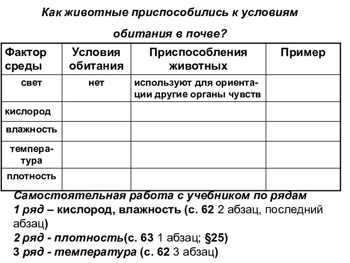 Как животные приспособились к условиям обитания в почве? Самостоятельная работа