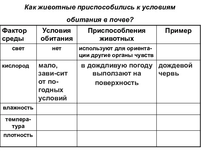 Как животные приспособились к условиям обитания в почве?