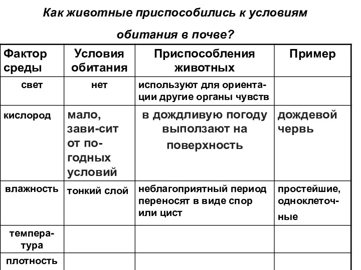 Как животные приспособились к условиям обитания в почве?