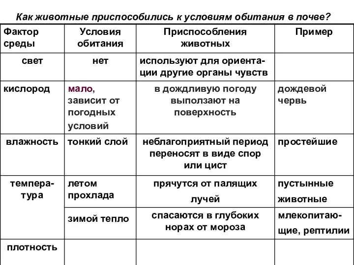 Как животные приспособились к условиям обитания в почве?