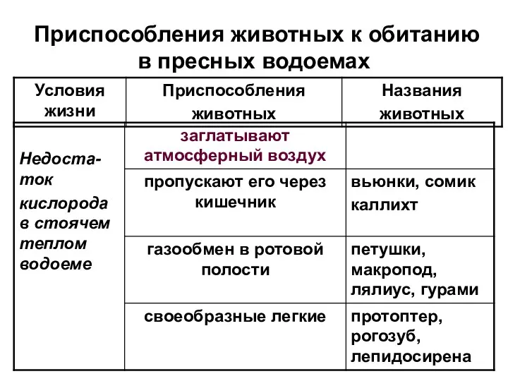 Приспособления животных к обитанию в пресных водоемах