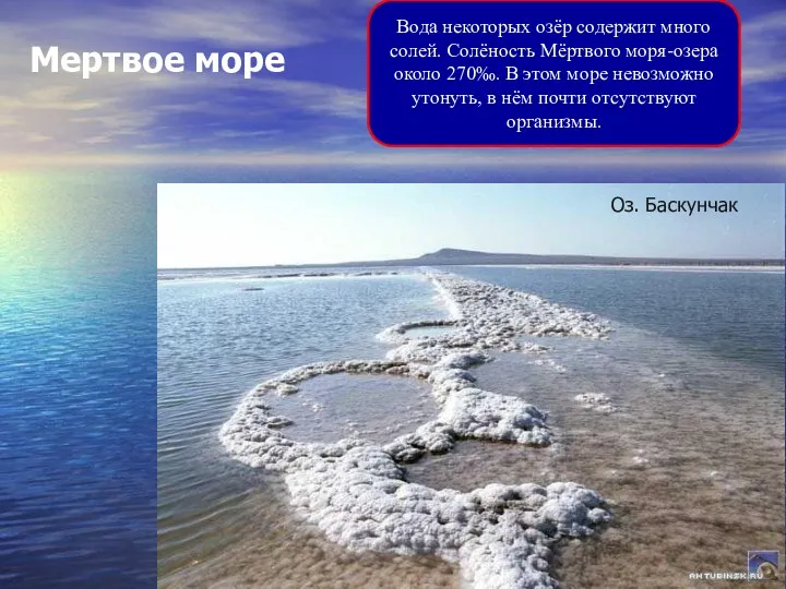 Мертвое море Вода некоторых озёр содержит много солей. Солёность Мёртвого