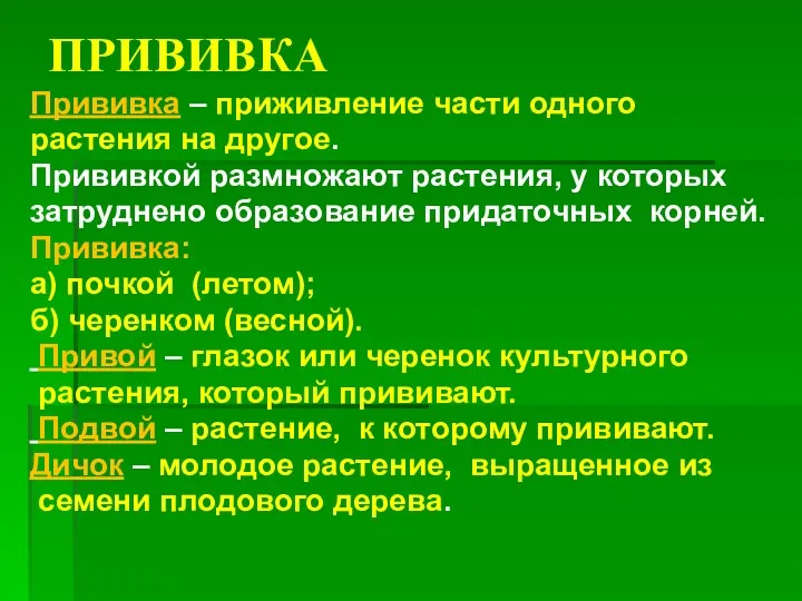 ПРИВИВКА Прививка – приживление части одного растения на другое. Прививкой