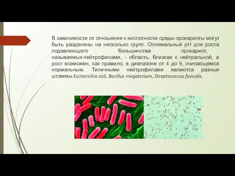 В зависимости от отношения к кислотности среды прокариоты могут быть