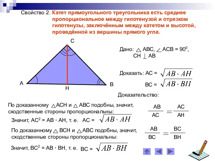 Свойство 2. Катет прямоугольного треугольника есть среднее пропорциональное между гипотенузой