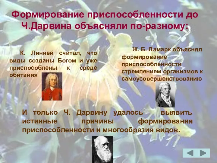 Формирование приспособленности до Ч.Дарвина объясняли по-разному: К. Линней считал, что