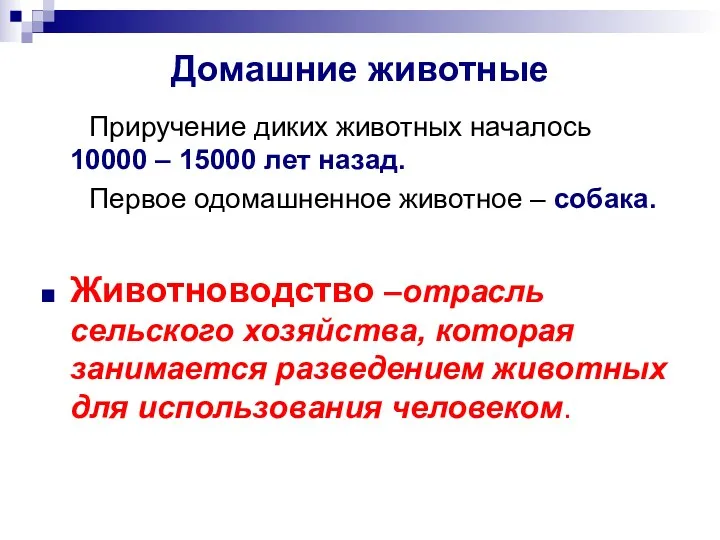 Домашние животные Приручение диких животных началось 10000 – 15000 лет