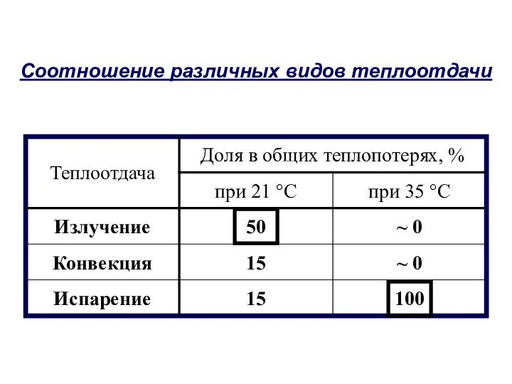 Соотношение различных видов теплоотдачи