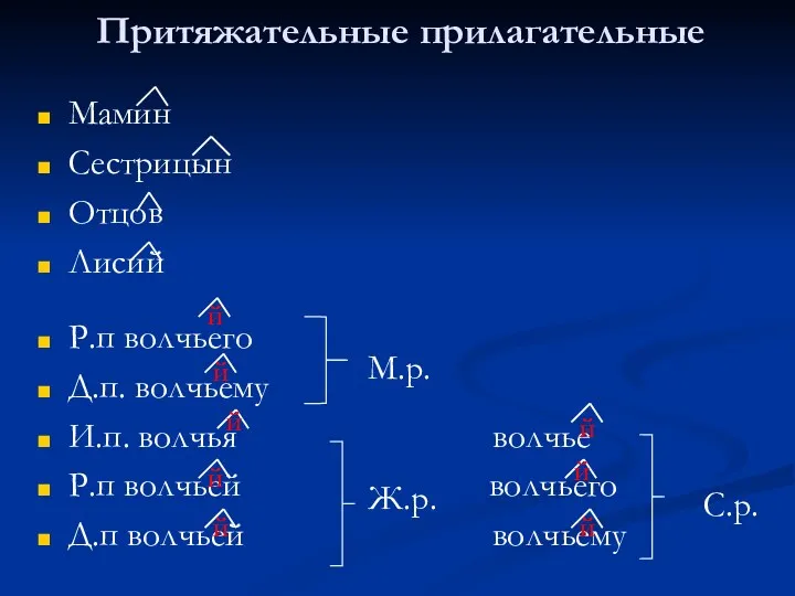 Притяжательные прилагательные Мамин Сестрицын Отцов Лисий Р.п волчьего Д.п. волчьему