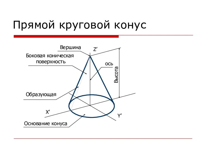 Прямой круговой конус X’ Y’ Z’ Вершина Высота ось Боковая коническая поверхность Образующая Основание конуса