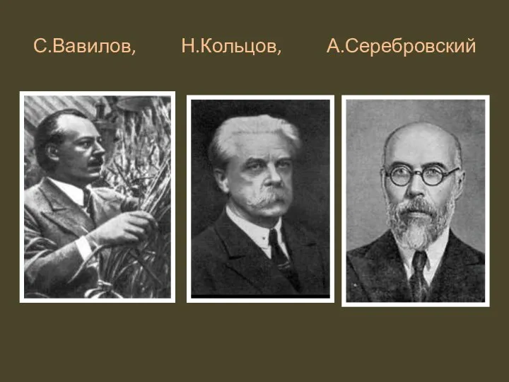 С.Вавилов, Н.Кольцов, А.Серебровский
