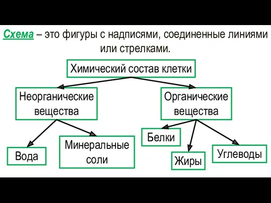 Схема – это фигуры с надписями, соединенные линиями или стрелками.