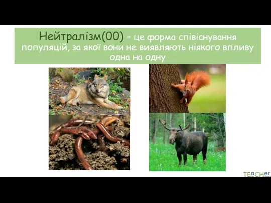 Нейтралізм(00) – це форма співіснування популяцій, за якої вони не виявляють ніякого впливу одна на одну