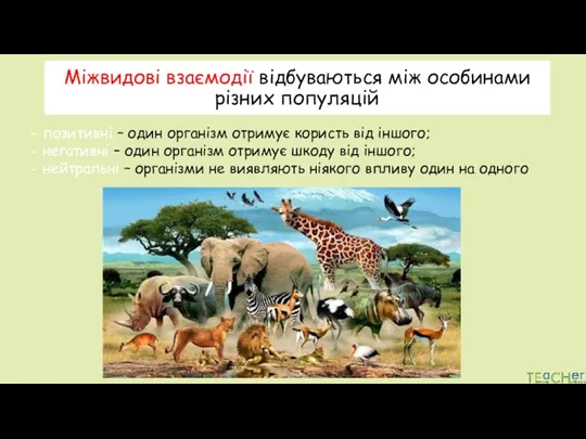 Міжвидові взаємодії відбуваються між особинами різних популяцій позитивні – один