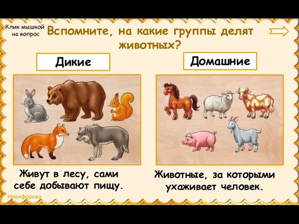 Вспомните, на какие группы делят животных? Дикие Домашние Клик мышкой