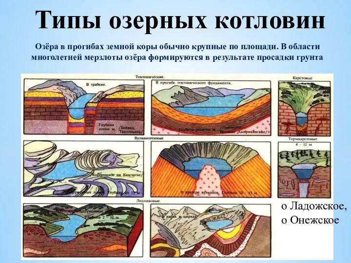 Типы озерных котловин о Ладожское, о Онежское Озёра в прогибах