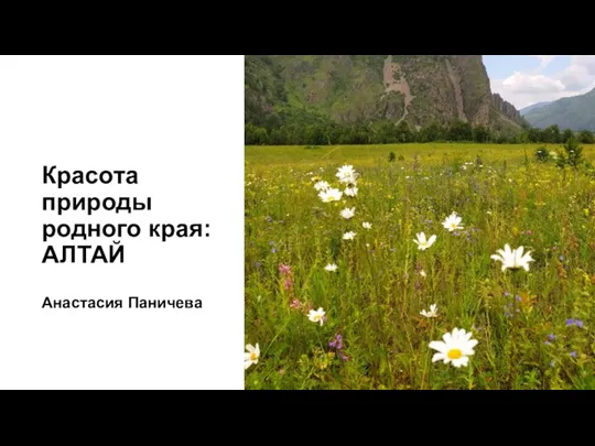 Красота природы родного Алтайского края