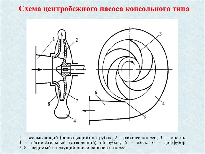 1 – всасывающий (подводящий) патрубок; 2 – рабочее колесо; 3