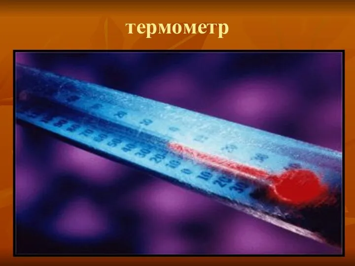 термометр