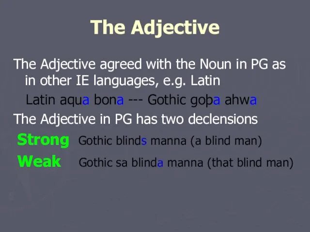 The Adjective The Adjective agreed with the Noun in PG