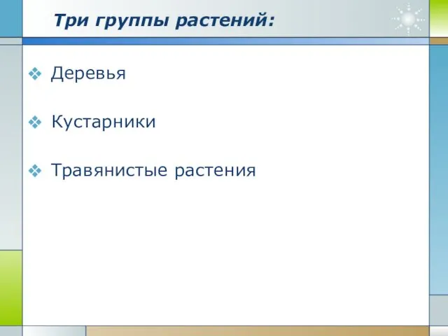 Company Logo www.themegallery.com Три группы растений: Деревья Кустарники Травянистые растения
