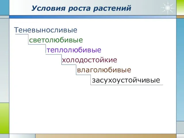 Company Logo www.themegallery.com Условия роста растений Теневыносливые светолюбивые теплолюбивые холодостойкие влаголюбивые засухоустойчивые