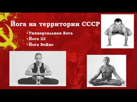 Йога на территории СССР Универсальная йога Йога 23 Йога Бойко