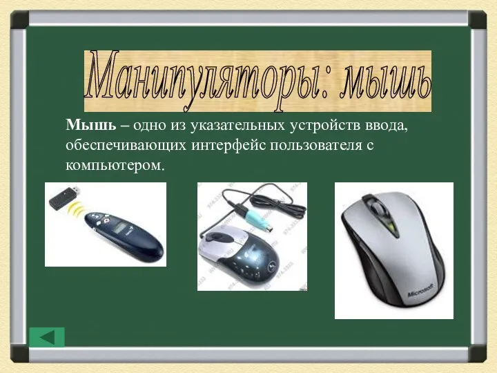 Манипуляторы: мышь Мышь – одно из указательных устройств ввода, обеспечивающих интерфейс пользователя с компьютером.