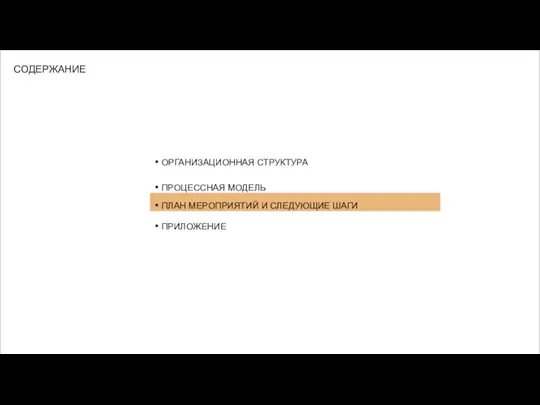 ОРГАНИЗАЦИОННАЯ СТРУКТУРА ПРОЦЕССНАЯ МОДЕЛЬ ПЛАН МЕРОПРИЯТИЙ И СЛЕДУЮЩИЕ ШАГИ ПРИЛОЖЕНИЕ СОДЕРЖАНИЕ